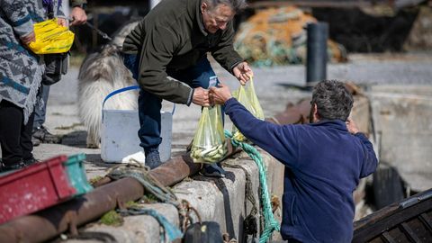 Avatud kalasadamate korraldajad ootavad head ilma ja kalaõnne