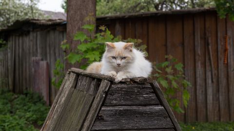 Viljandi kuuride senijutustamata lood said raamatuks