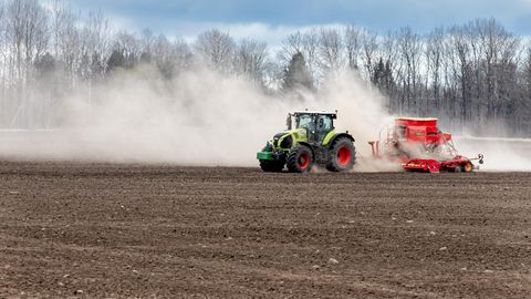 Varajane kevad viis põllule, kuid külm hoiab kasvu tagasi
