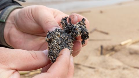 Lääne-Virumaa rannaaladel avastati tahkeid musti masuudiklompe