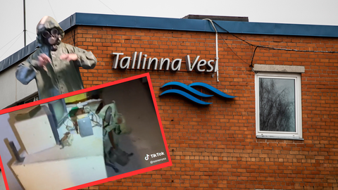 HULLUD TEISMELISED ⟩ Kriitiline taristu kui noortekampade mänguväli: miks TikToki kuulsus kaalub üle terve mõistuse?