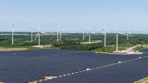 MEELIS KIILI ⟩ Energiajulgeolekut ei saa rajada poolikule tõele