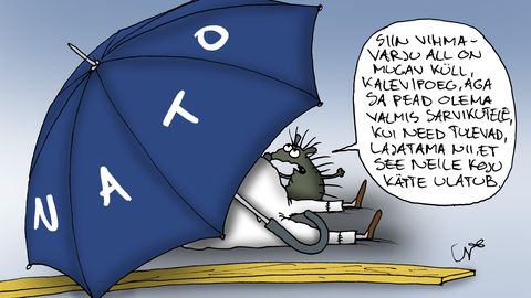 JUHTKIRI ⟩ Parim kaitse on rünnak