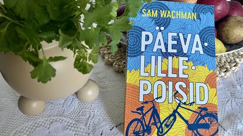 PÄEVALILLEPOISID ⟩ Kui sõda rebib elu pooleks: liigutav romaan, mis räägib tegelikult armastusest