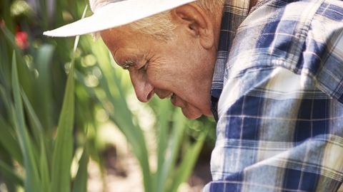 PROVIISOR ⟩ 7 lihtsat nippi, kuidas säästa end kangetest lihastest pärast aiatöid