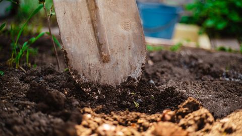 Briti naine tegi oma aias kaevates leiu, mis muutis tema elu: «Nii algavad õudusfilmid»