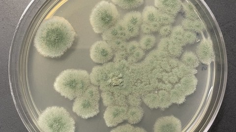 See seen on tõeline kosmosekangelane – Marsile selline sobiks