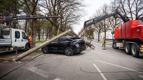 Ekspert: betoonpostide kukkumise autode peale põhjustas elektriliinidesse takerdunud veok