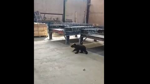 INTERVJUU ⟩ Koerahoidja õpetab: selle alusel saad hinnata, kas sinu lemmik on ikka heades kätes