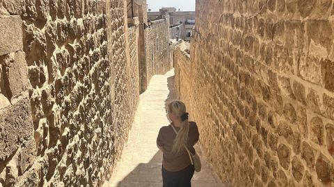 PALMIPUU PALMI ALL ⟩ Hääldasin nii valesti, et mulle toodi hoopis uus klaas veini