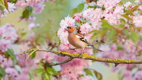 PÄEVAHOROSKOOP ⟩ 25. aprill: Sõnn võib saada ootamatuid uudiseid, Veevalajal on soodne aeg rääkida lähedastega südamest südamesse