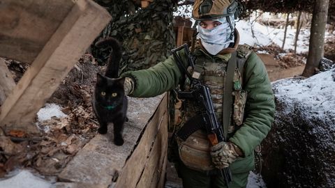 VIDEO ⟩ Ukraina sõdurid päästsid drooni abil tulevahetuse keskele jäänud kassi ja koera