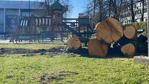 FOTOD ⟩ «Varsti elame betoonist ja klaasist tulnukalinnas!» Puudest lagedaks tehtud park südalinnas pahandab paljusid tartlasi