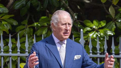 Kuningas Charles III jälestab seda palavalt armastatud kiirtoiduketti nii palju, et tahtis seda keelustada