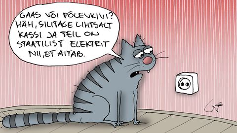 JUHTKIRI ⟩ Elering mängib gaasiga