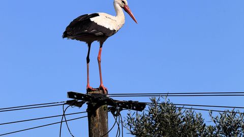 TIPPSPORDIS TAGASI ⟩ Elektri hind teeb täna enam kui 200-protsendise hüppe