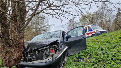 PILDID ⟩ Autojuht sõitis terviserikke tõttu vastu puud