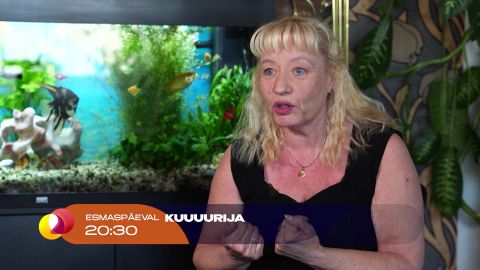 Linn andis kodu – nüüd võtab tagasi: Piret jäetakse tänavale?