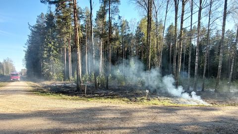 VIDEO ⟩ Päästjate argipäev: surnuaia naabruses põlev mets ja sarilõkkemeister, kellele sõnade peale lugemine ei aita