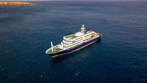 Kolm surma kruiisilaeval: Atlandil levima hakanud ohtlik viirus pani terviseametid häirekella lööma