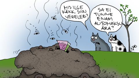 JUHTKIRI ⟩ Vana Audi, veel vastu pea!
