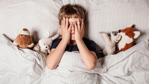 LÄMBUMISOHT ⟩ Taani kaubakett kutsub tagasi vigased laste mänguasjad