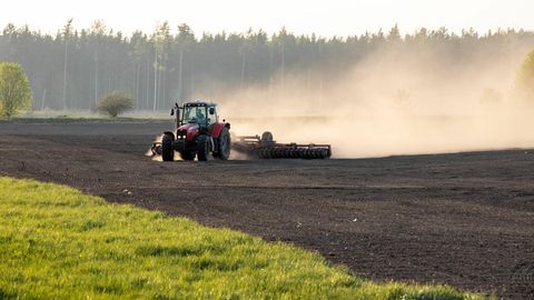 LOODUSKALENDER ⟩ Loodus vaevleb põuapaines