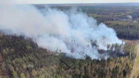 Ida-Viru päästjad kustutavad mitmendat päeva maastiku- ja metsapõlenguid