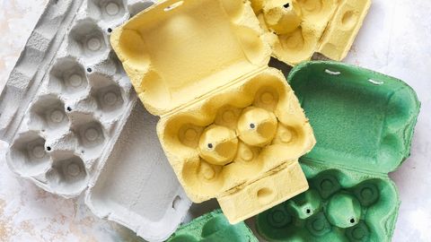 Millal ei tohiks vanu munakarpe taaskasutada?
