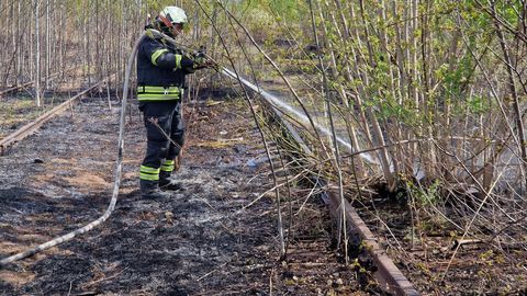 PILDID ⟩ Tartus puhkes raudtee lähistel kulupõleng, tuli levis ligi hektari suurusele alale