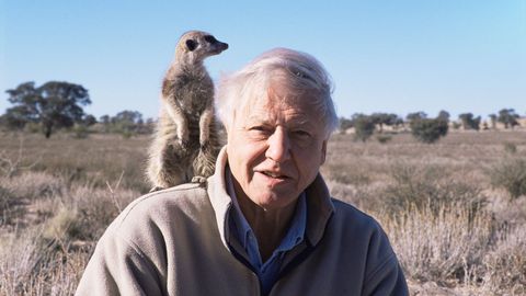Sir David Attenborough andis loodusele hääle, mis ei vaiki