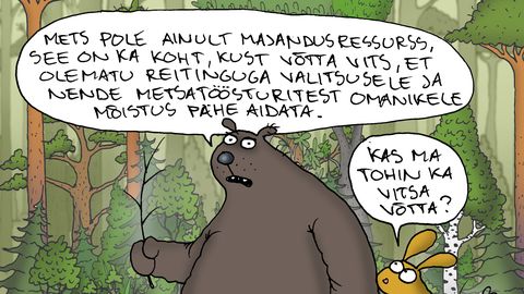 JUHTKIRI ⟩ Metsaseadus läheb metsa
