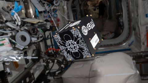 See kellavärgiga apelsin salvestas üles Maa magnetvälja