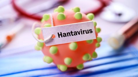 Kaks Soomes elavat inimest puutusid kokku hantaviirusega