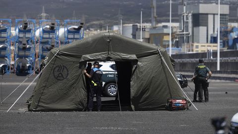 Eksperdid hoiatavad: Argentina hantaviiruse juhtumite kahekordistumist seostatakse kliimamuutustega