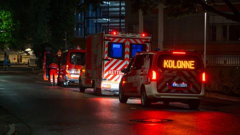 Kolm kruiisilaevalt kodumaale evakueeritud reisijat kannab ilmselt hantaviirust