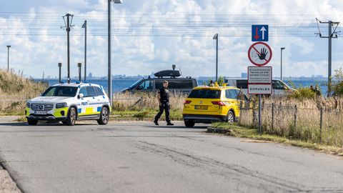 LASUD REISILENNUKI SUUNAS ⟩ Taani ekspertide hinnangul ei pruukinud mullu riigi taevas üldse võõraid droone ollagi