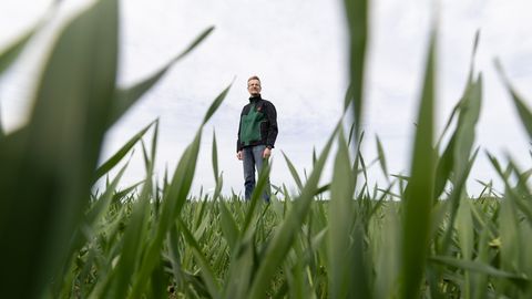 Kriis põllumajanduses süveneb: riik otsib võimalusi tootjate toetamiseks