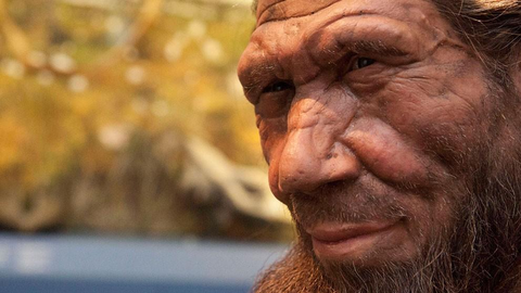 Neandertallaste kohta selgus taas midagi tavatut ja uut