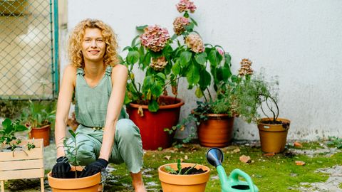 ZUMMIBUFEE ⟩ 15 nippi, kuidas teha oma aiast mesilaste paradiis