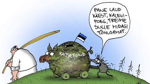 JUHTKIRI ⟩ Meie kaitsefondi riskid