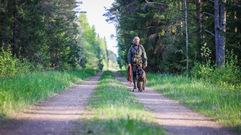 VAATA TULEMUSI ⟩ Viljandimaal toimunud võistlustel selgusid Eesti parimad teenistuskoerad