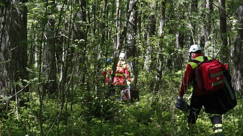 GALERII ⟩ Päästjad, PPA ja kiirabi harjutasid metsas inimese päästmist