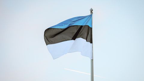 PIISKOP OVE SANDER ⟩ Täna lauldavast lipulaulust väljajäänud salm selgitab meie trikoloori valge värvi tähendust