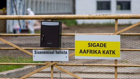 SUVEPROGNOOS ⟩ Metssead kipuvad lähikuudel taas sigade Aafrika katku levitama