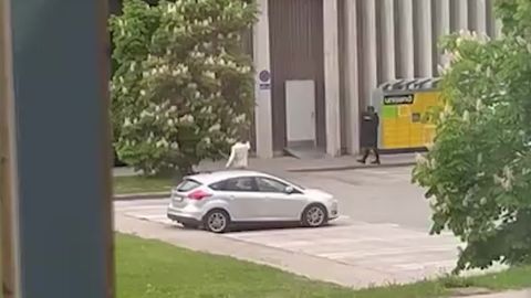 VIDEOD SÜNDMUSKOHALT ⟩ Politsei tegi Ujula Coopi juures relvataolise esemega vehkinud mehe taseriga kahjutuks
