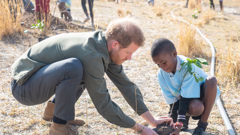 Prints Harry juhitavat ühendust süüdistatakse Kongo hõimu piinamises ja vägistamises