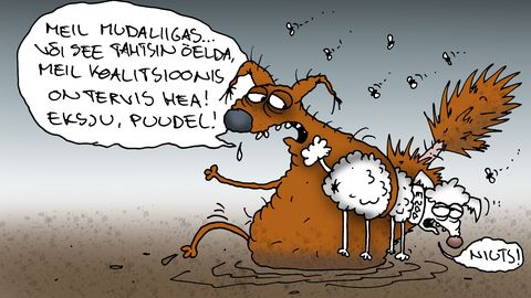 JUHTKIRI ⟩ Meeleheitel Reformierakond