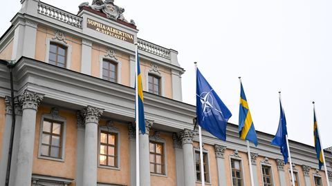 Vseviov vaagis Rootsis julgeolekuolukorda