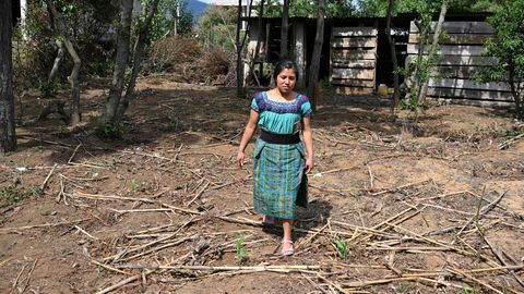 ÜRO: El Niño tekke tõenäosus juunist augustini on 80 protsenti